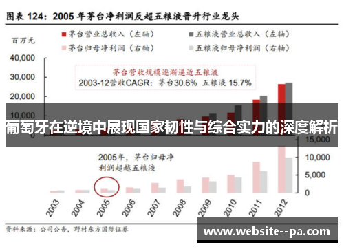 葡萄牙在逆境中展现国家韧性与综合实力的深度解析
