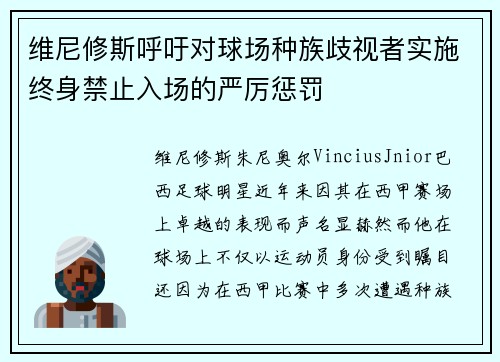 维尼修斯呼吁对球场种族歧视者实施终身禁止入场的严厉惩罚