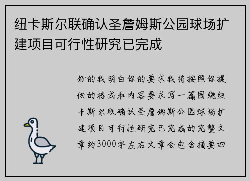 纽卡斯尔联确认圣詹姆斯公园球场扩建项目可行性研究已完成